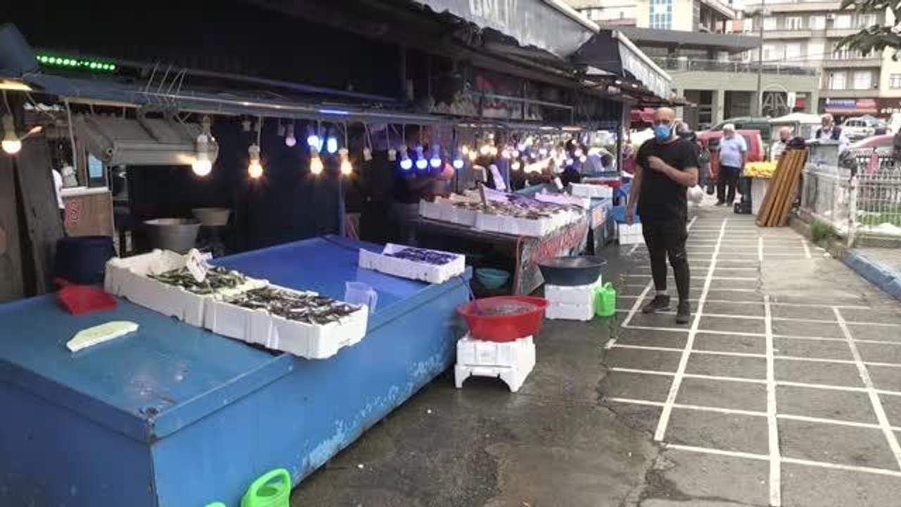 Balık tezgahlarında palamut ve istavrit bolluğu yaşanıyor
