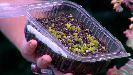 bd-publireportaje-evergreen-130921