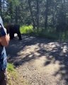 Huge bear walks past tourists in Alaska!