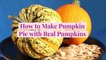 How to Make Pumpkin Pie with Real Pumpkins