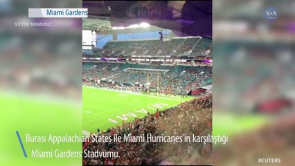 Stadyumdaki Seyirciler Kedinin Hayatını Kurtardı