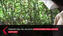 Kasus Perkosaan Terhadap 4 Siswi SMA Jayapura, Ini Kata KPAI