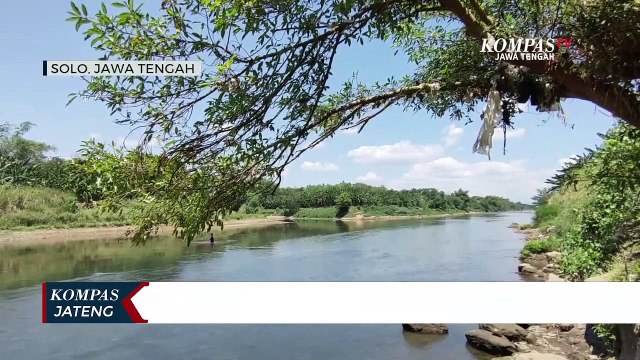 Air Sungai Bengawan Solo Tercemar Limbah Ciu dan Tekstil