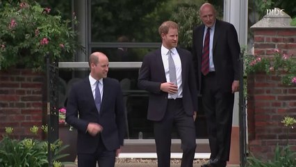 رغم الخلافات الأمير هاري يتعاون مع شقيقة وليام في فيلم وثائقي