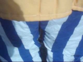 Obelix in notre dame des landes