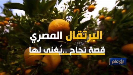 البرتقال المصري قصة نجاح.. يغني لها