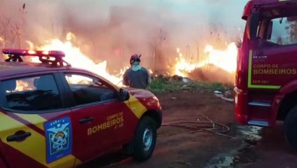 Grande área de vegetação é tomada pelo fogo no Bairro Esmeralda