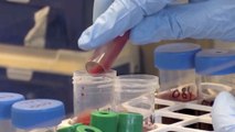 بريطانيا تبدأ أكبر تجربة في العالم لاختبار دم لـ50 نوعا من السرطان