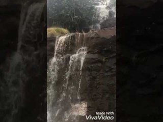 नाशिक : भावली धरण परिसरात धबधबे वाहू लागलेत