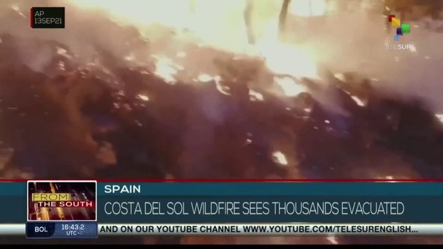 Spain: Thousands evacuated as Costa del Sol is hit by worst blaze in decades