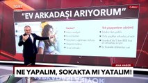 Ev Arkadaşı Arıyorum: Ne Yapalım Sokak Ta Mı Yatalım | Ekrem Açıkel ile TGRT Ana Haber