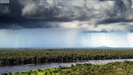 Changed Amazon flooding and turtles in BBC documentary A perfect planet: weather
