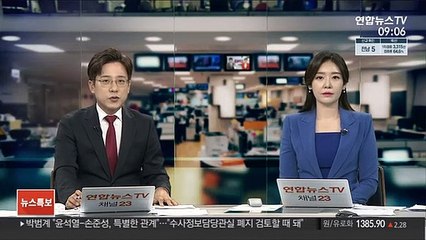 조성은 "'손준성 보냄' 계정, 손준성 검사 계정과 같다"