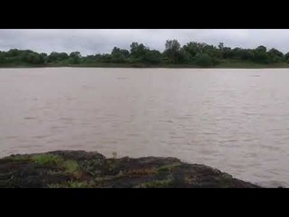 विष्णुपुरी प्रकल्पाच्या पाणीपातळीत गेल्या 24 तासांत मोठी वाढ