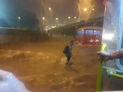 मुंबई : गोरेगावात वेस्टर्न एक्स्प्रेस-वेवर साचलं पावसाचं पाणी