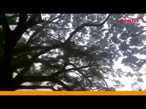 कोल्हापुरात पहाटेपासूनच धुक्याची चादर पसरल्यानं हरवले रस्ते