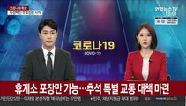 휴게소 포장만 가능…추석 특별 교통 대책 마련