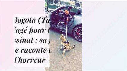 Saïd Bogota (Taxi 5, Pattaya) jugé pour tentative d'assassinat : sa jeune victime raconte toute l'horreur