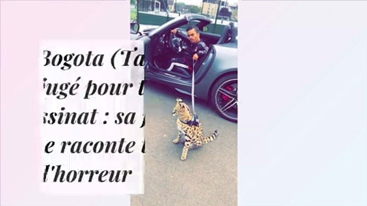Saïd Bogota (Taxi 5, Pattaya) jugé pour tentative d'assassinat : sa jeune victime raconte toute l'horreur