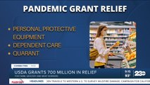 United States Department of Agriculture provides $700,000,000 in grants for pandemic relief