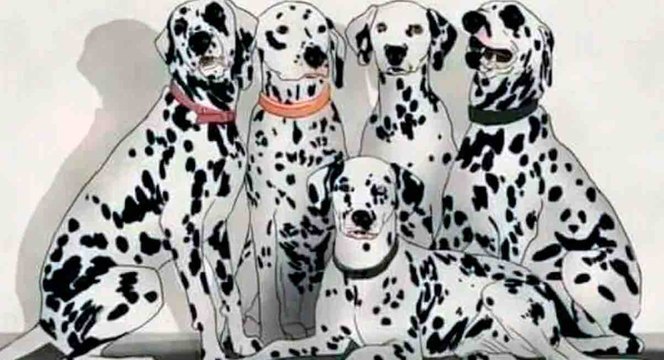 Arriverez-vos à trouver le panda caché parmi ces dalmatiens