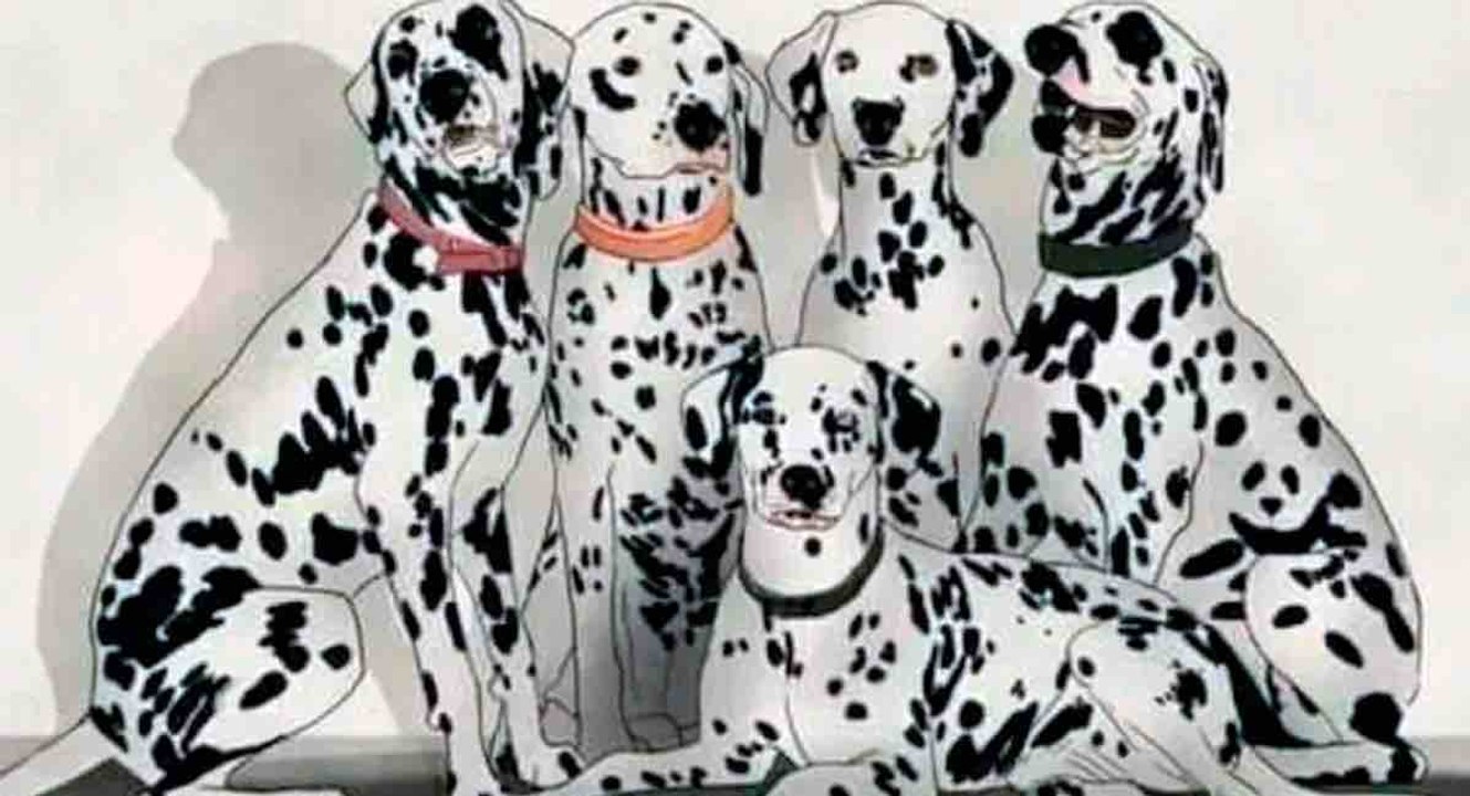 Arriverez-vos à trouver le panda caché parmi ces dalmatiens