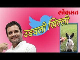 राहुल गांधीनी उडवली भाजप ची खिल्ली | Rahul Gandhi Twitter Updates | Congress News
