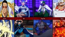 Devil Fruit Forms Comparison of One Piece Characters