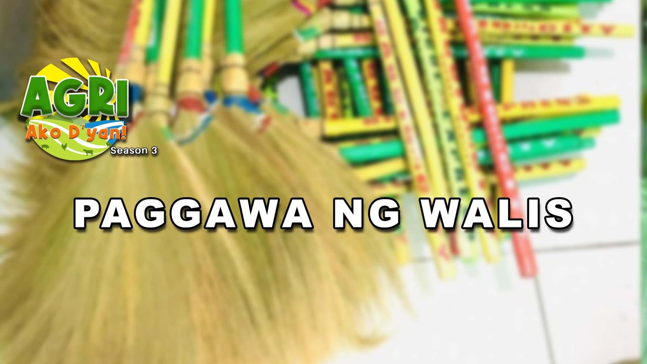 Paggawa ng Walis