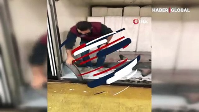 Marmara Denizi'nde dev köpek balığı