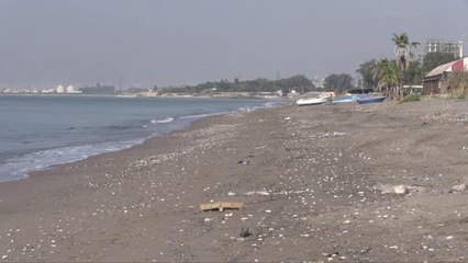 Sahillerde Suriye kaynaklı petrol sızıntısına ilişkin temizlik çalışmaları devam ediyor