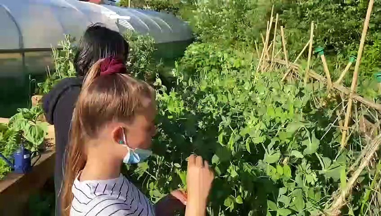 CATCH Grow Together Summer 2021