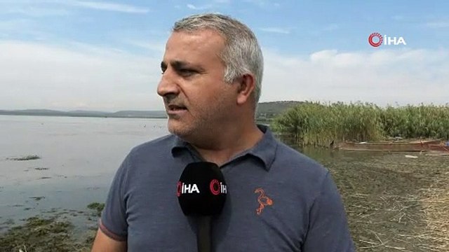 Uluabat Gölü can çekişiyor