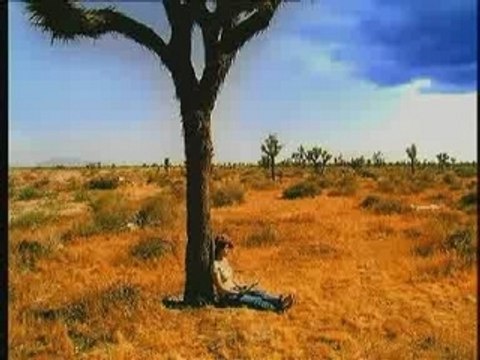 Ho Yeow Sun - Lonely Travel, You Are My Star