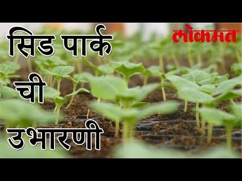 MIDC चा नवा प्रकल्प शेतकऱ्यांना होणार फायदा | 6000 कोटीची उलाढाल | Lokmat Marathi News