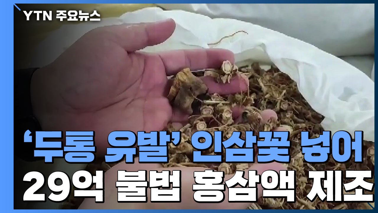 "원가 아끼려고"...'식용 불가' 원료 쓴 홍삼 업체 적발 / YTN