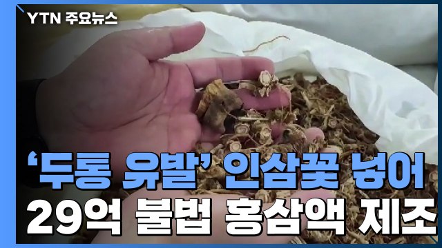 원가 아끼려고 ...'식용 불가' 원료 쓴 홍삼 업체 적발 / YTN