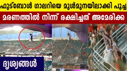 CAT SURVIVES FALL AT HARD ROCK STADIUM