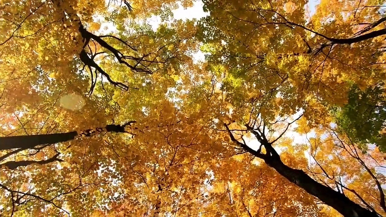 الرد على سؤال من خلق الله؟ - ولماذا سيحاسبنى الله على أخطائى اذا كنت مسير؟ - حوار مع صديقي الملحد