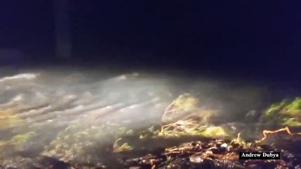 الاعصار نيكولاس يضرب ولاية تكساس الأميركية