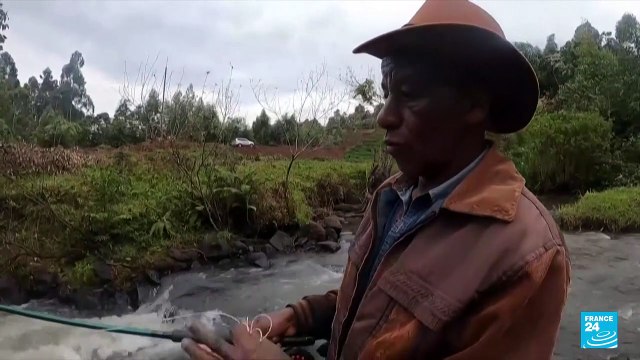 Kenya's fly fishers: Young enthusiasts push to bring sport to the masses