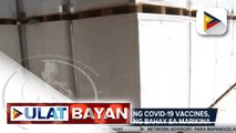 Styro na pinaglagyan ng COVID-19 vaccines, ginamit para makabuo ng bahay sa Marikina; 500 na bahay, target magawa gamit ang styro