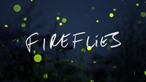 Stephan Moccio - Fireflies