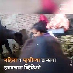 Hilarious Video Shows Buffalo Dancing Along With The Owner