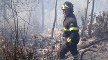 Arcugnano (VI) - Domato incendio boschivo in località Pianezze (14.09.21)