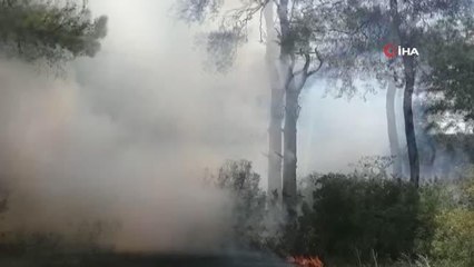 Son dakika haberleri: Manavgat'ta çıkan orman yangınında vatandaşlar seferber oldu