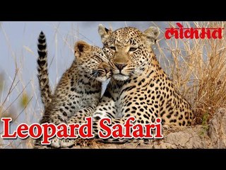 नेशनल पार्क मधे राबवला जाणार नविन उपक्रम | नविन सफारी ची सुरुवात | National Park Latest Update