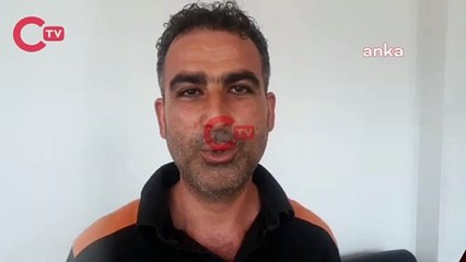 İşyerinde dev örümcek paniği