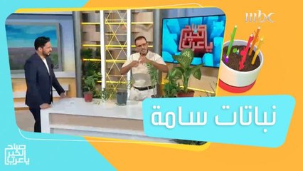 نباتات سامة قد تصيبك بهذه الأمراض!