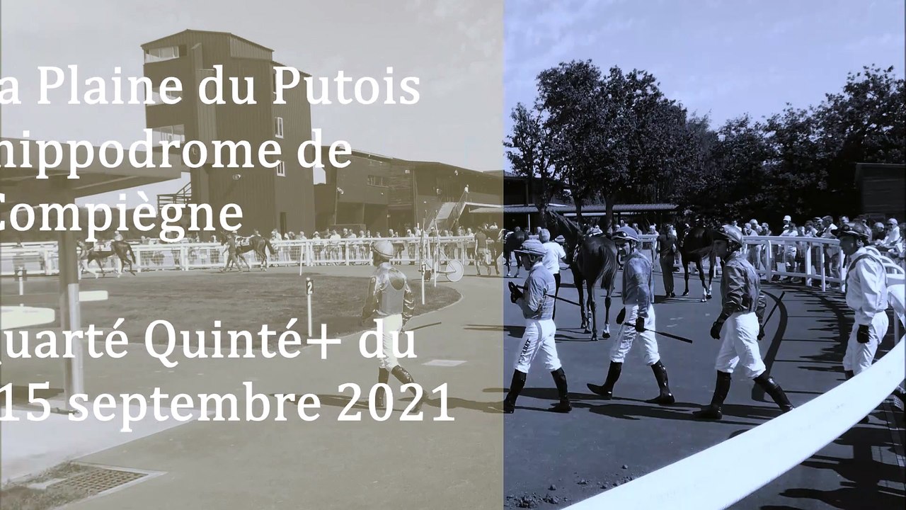 Pronostic de Fréquence Turf pour le Quinté PMU du mercredi 15 septembre 2021